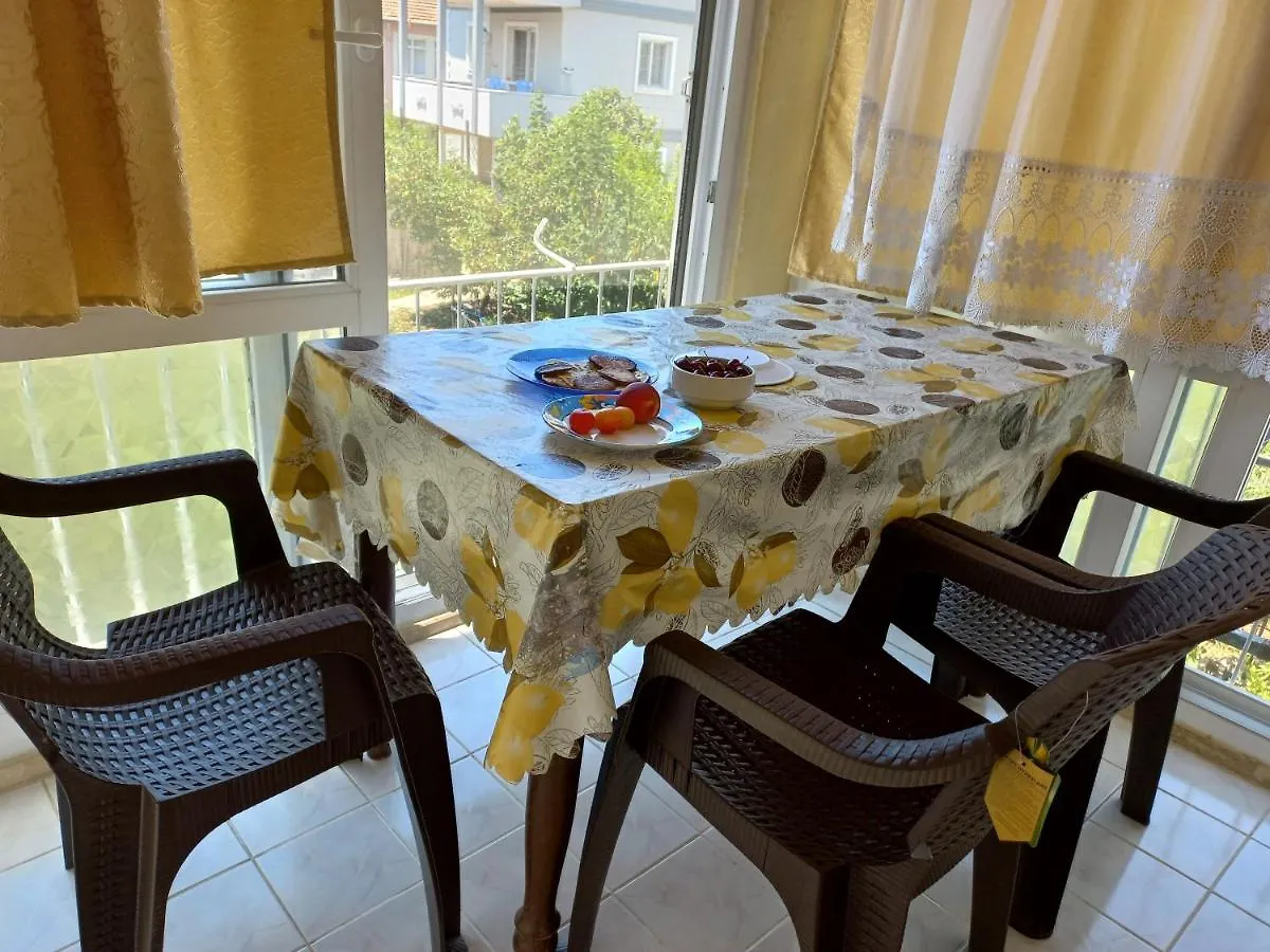 Adventurous Local Hostel Φετιγιέ